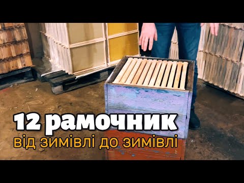 Видео: Річний цикл бджільництва в 12-рамковому вулику
