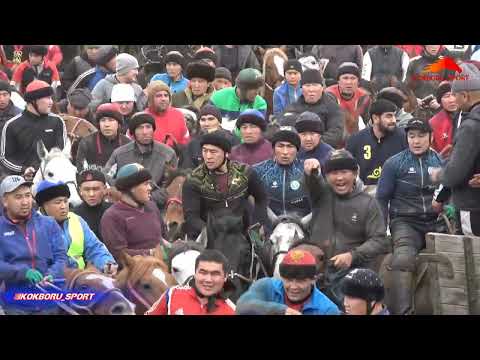 Видео: Жалал-Абад/ Сузак / Нуртилектин уулдарына арналган аламан улак.