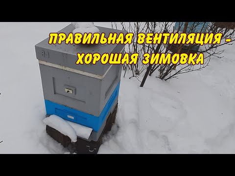 Видео: пчеловодство, правильная вентиляция-хорошая зимовка, зимовка пчел на улице ,работа  пасеке в феврале