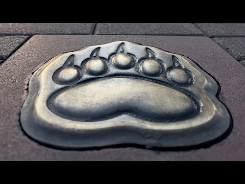 Видео: Ярославль. Ноябрь’25