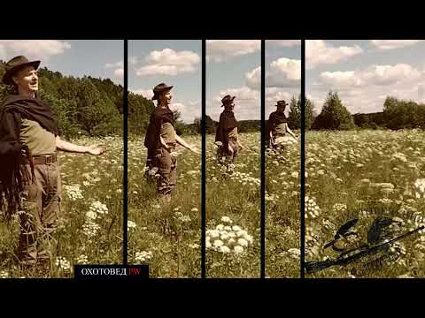 Видео: Охотничий нигун №16 | кафедра охотоведения | охотовед.pw