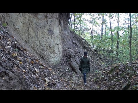 Видео: Дивний ліс із мертвим хутором всередині.