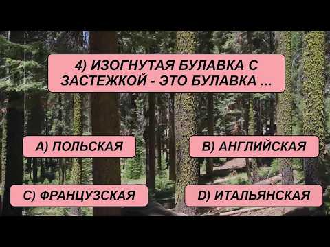 Видео: Лишь 2% самых подготовленных эрудитов преодолеют планку в 20 верных ответов!