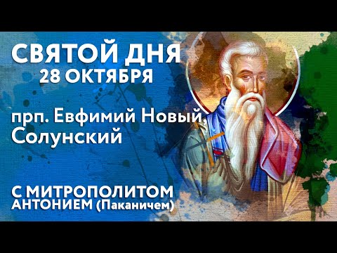 Видео: Святой дня. 28 октября. Преподобный Евфимий Новый, Солунский.
