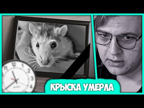 Видео: 🐀 Крыса Пятёрки отправилась в Крысиный Рай - F - Грустная История (Нарезка стрима ФУГА TV)
