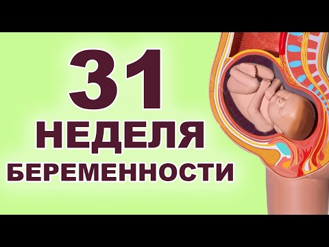 Видео: Что происходит с ребенком и мамой на 31 неделе беременности? 7 месяц беременности. Третий триместр.