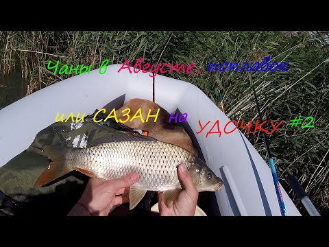 Видео: оз.Чаны в Августе, Поплавок и Сазан по Якутски, (это фиаско братан)))...#2 клевая рыбалка на чанах