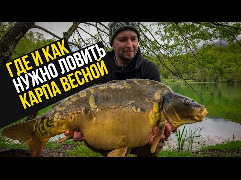 Видео: ГДЕ ЛОВИТЬ КАРПА ВЕСНОЙ? СОВЕТЫ по ПРИКОРМКЕ, ОСНАСТКАМ И МОНТАЖАМ!
