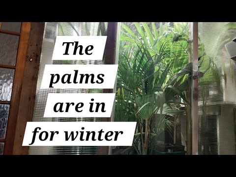 Видео: Вырастите палатку, полную растений