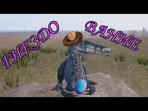Видео: Неудачное гнездование Зухомима :(