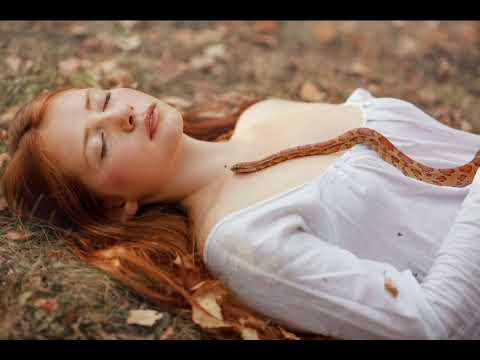 Видео: Дева и змея 