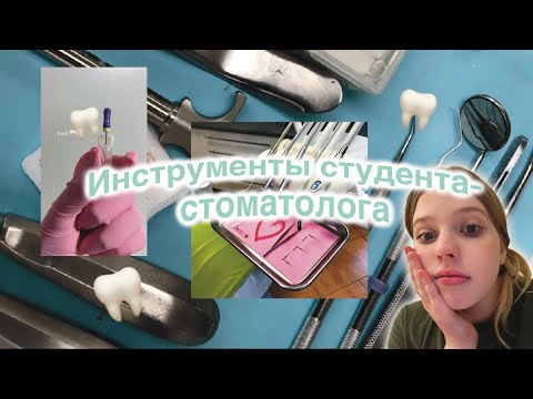 Видео: ЧТО НУЖНО КУПИТЬ СТУДЕНТУ СТОМАТА? | КубГМУ