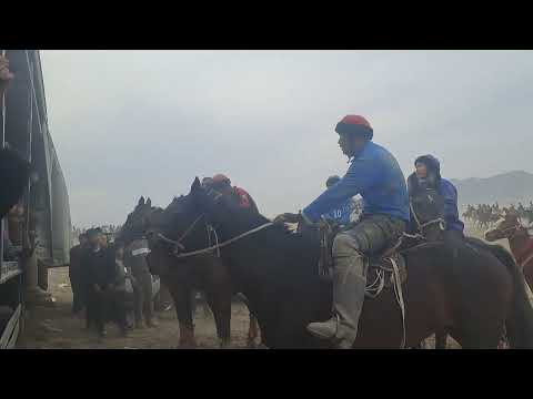 Видео: 26 октября 2025 г.