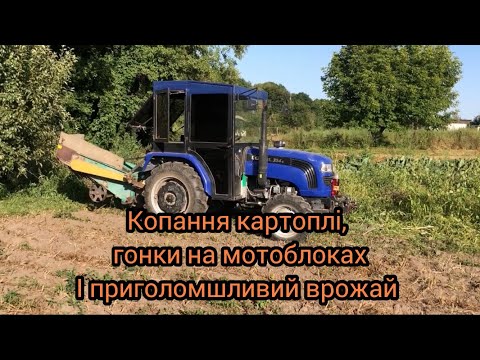 Видео: Копання картоплі яку поливали. Загрузили повний прицеп з 3х соток 