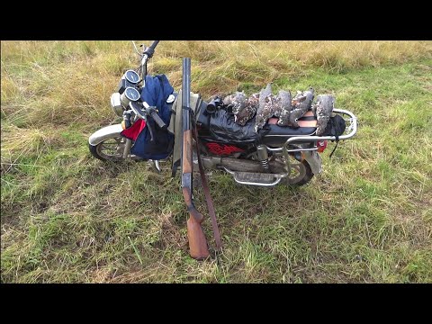 Видео: ОХОТА / ОСЕНЬ 2019 / МНОГО ДИЧИ. ТАЙГА КОМИ.