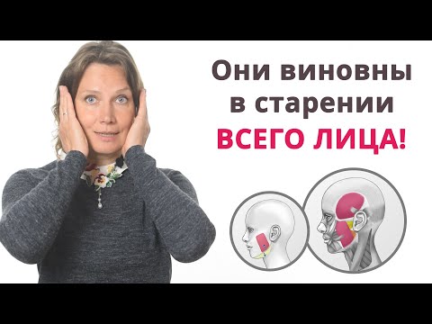 Видео: Они виновны в старении всех зон лица. Жевательные мышцы.