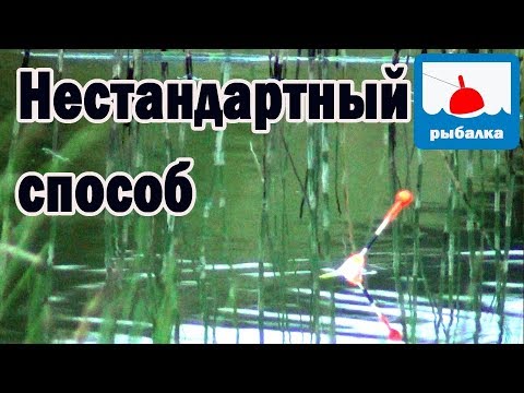 Видео: Как можно поймать карася летом,  особый вариант, и я его тут так ловил лет 10 назад