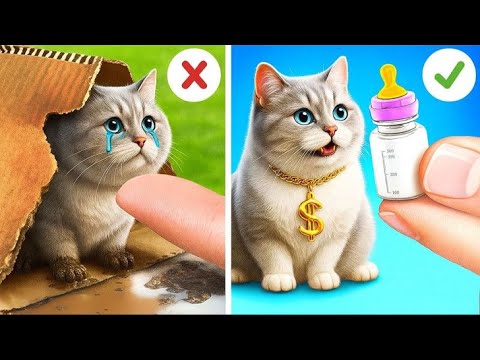 Видео: Не плачь, котик 😿 Я построю тебе мини-домик!