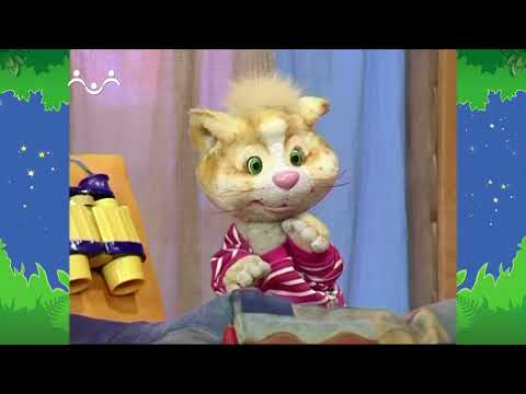 Видео: Вечер в Шишкином Лесу. Города