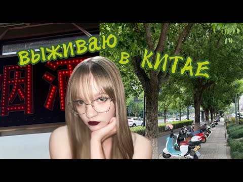 Видео: первый день русской студентки в Китае!  #китай #china #учебазаграницей #internationalstudents