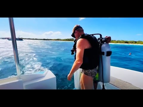 Видео: ДОМИНИКАНА! Дайвинг на карибах и кто такие МУЖЧИНЫ  САНКИ-ПАНКИ?