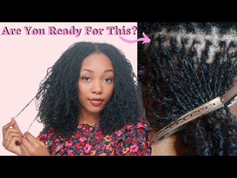 Видео: 5 ПРИЧИН, ПО КОТОРЫМ ВАМ *НЕ* СТОИТ ЗАВОДИТЬ МИКРОЛОК