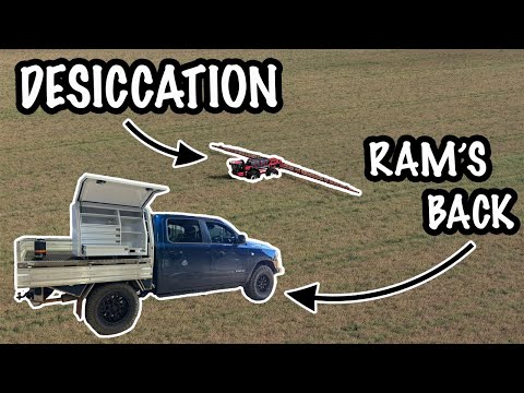 Видео: Генри вышел на опрыскивание, а Ram вернулся!!!!