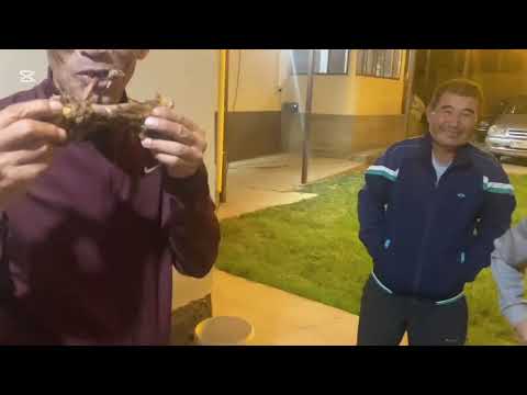 Видео: Одноклассники пикник супер мест Алатау 