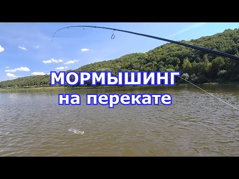 Видео: Мормышинг на перекате на Fario NT Morm.S 1.80m/0.5-2 гр. Испытания нового силикона.
