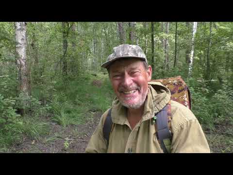 Видео: Мещера/река Пра/ 16 июля - 15 августа 2022