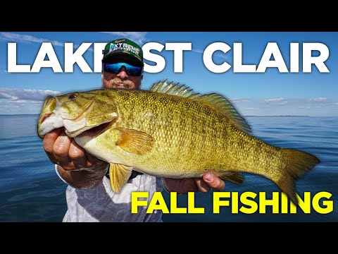 Видео: Этой осенью наживка для малоротого окуня РАЗРУШАЕТСЯ на озере Сент-Клер!