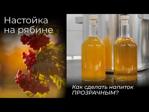 Видео: Настойка на рябине | Простой рецепт от Губера
