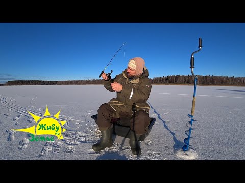 Видео: Зимняя Рыбалка. С чего начинать? Живу на Земле