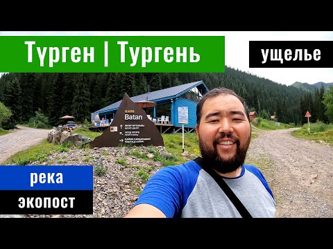 Видео: Тургеньское ущелье 2024. Дорога по ущелью Тургень. Ущелье реки Тургень, Казахстан.