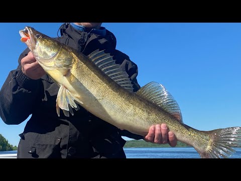 Видео: Открытие лодочного сезона 2022🔥🔥🔥