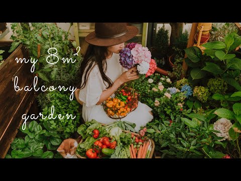 Видео: #11 Узгој повртњака на малом балкону (8м2) | Growing a Vegetable Garden on a Small Balcony {титлови}