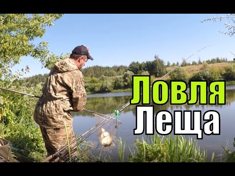 Видео: Ловля леща. Разведка по лещевым местам. Ловля леща на реке Дон.
