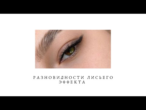Видео: УРОК №2. РАЗНОВИДНОСТИ ЛИСЬЕГО ЭФФЕКТА