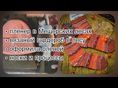 Видео: Пленер/вязаный гардероб в лесу/оформила оленей/носки и процессы