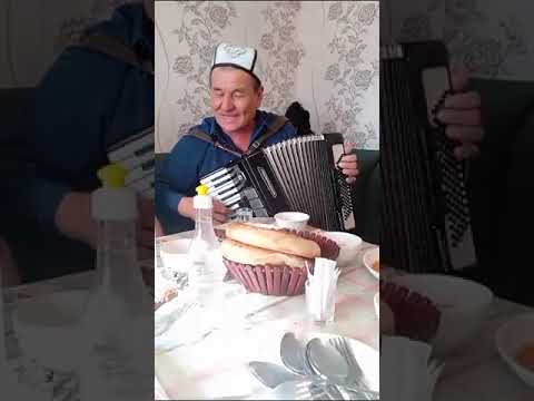Видео: Акардиончу Хасан брат