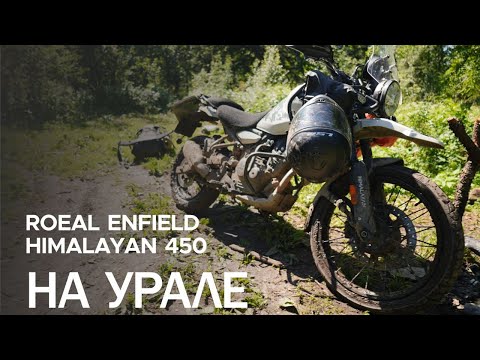 Видео: Royal Enfield Himalayan 450 на Урале