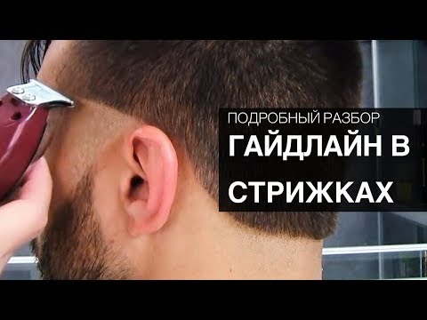Видео: Гайдлайн в стрижках - Что это такое. Арсен Декусар