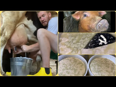 Видео: ДОЮ РУКАМИ И СТРАДАЮ// МЯТНЫЙ СЫР ЭКСПРОМТОМ