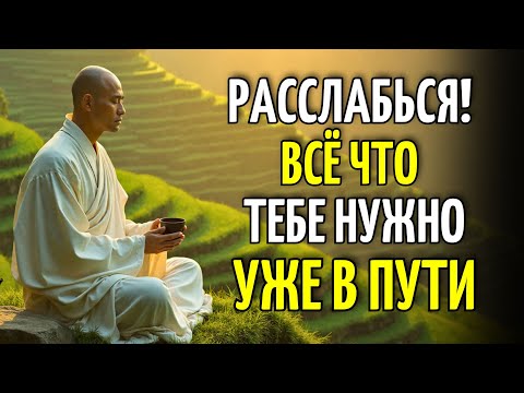 Видео: 10 Буддийских Уроков Чтобы Расслабиться И Привлечь Настоящее Счастье