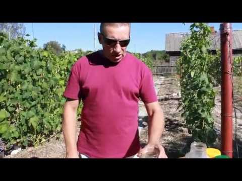 Видео: Вытяжка из золы. 27.08.16. Владимир Попченко.