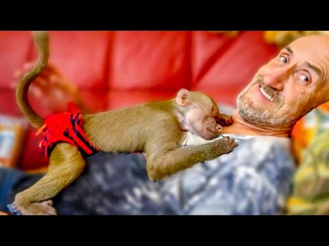 Видео: МИЛОТА!!! Влад привез Люську домой на обед, а она ОБНЯЛА его и ЗАСНУЛА у него на сердце!