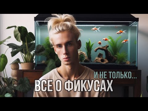 Видео: ВСЕ МОИ ФИКУСЫ 🌳/ уход и содержание / БОЛЬШИЕ ПРОБЛЕМЫ В АКВАРИУМЕ !🐠💦