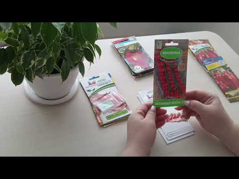 Видео: Выбрала то, что считаю лучшим. Из того, что у меня есть.