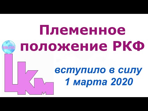 Видео: Племенное положение РКФ от 1.03.2020 г.