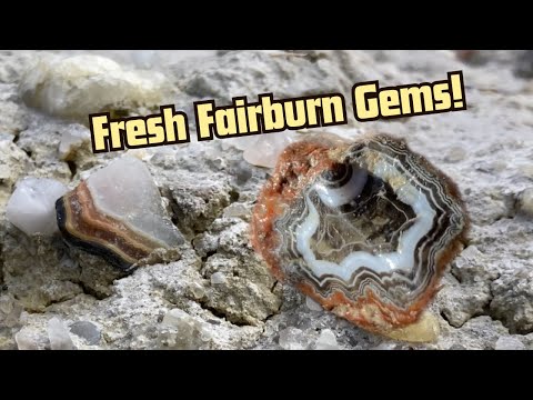 Видео: Первая охота за агатами Фэрберн в 2024 году!